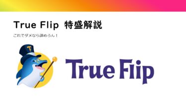 特盛解説！TrueFlip　【仮想通貨でも法定通貨でも遊べる！】